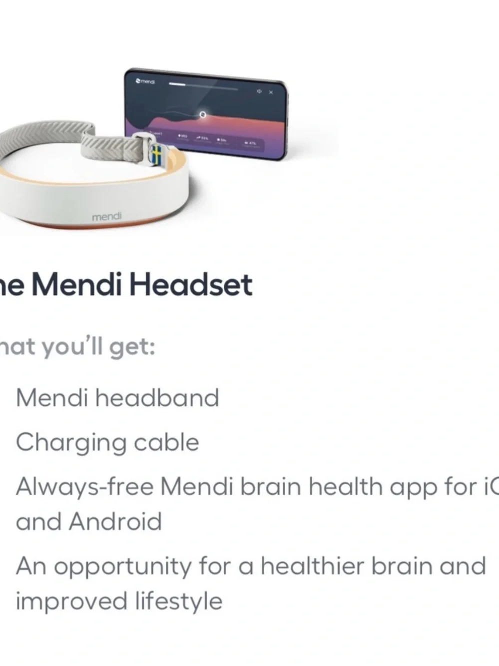 Mendi brain training